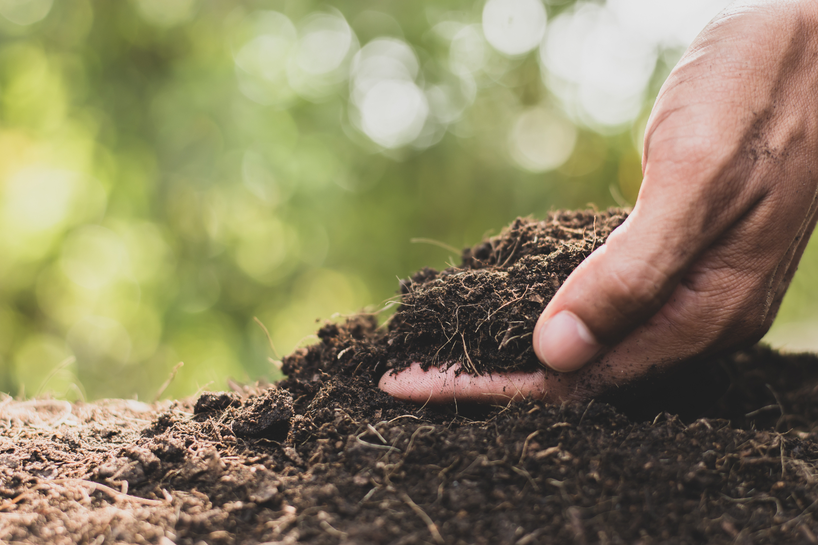 Nutritional Benefits of Going Organic - What Is Organic Gardening And Why Is It Done?